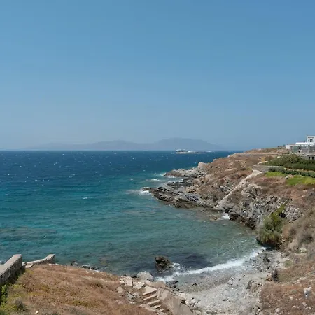 Coventina - Med Agios Ioannis Diakoftis